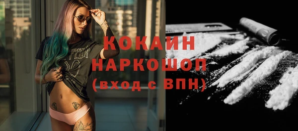 сатива Каменск-Шахтинский
