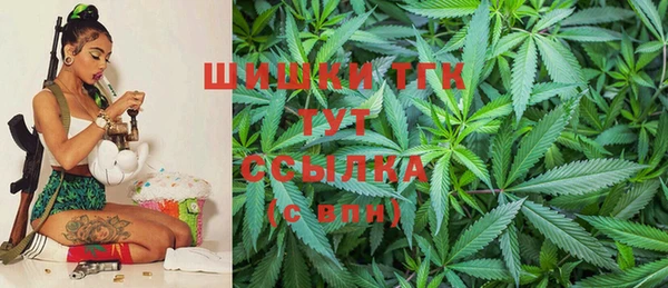 сатива Каменск-Шахтинский
