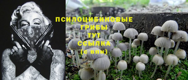 2c-b Каменка