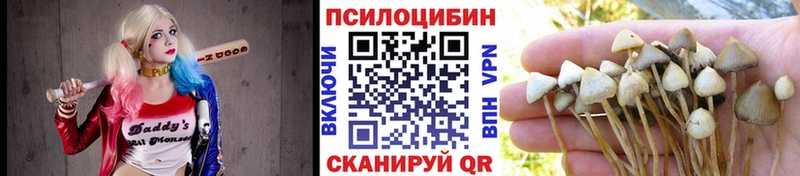 Псилоцибиновые грибы мухоморы  Купить где  Зеленоградск 